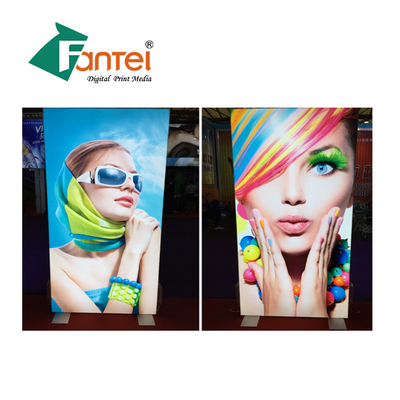 FENGTAI η στρέβλωση πλέκει σηκώνει Windproof εμβλημάτων επίδειξης που προσαρμόζεται